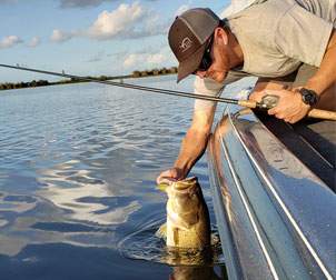 Man smiling pulling Largemouth Bass out of water