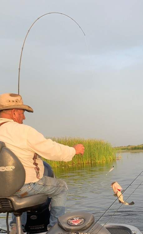 Headwaters Lake Open For Bass Fishing - Fish Hand Guide Service - Fellsmere, FL